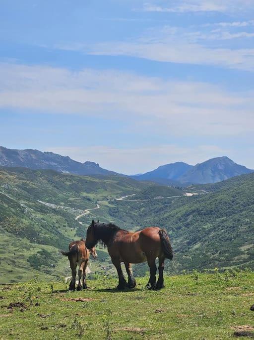 La Casina Del Alce Daire Aller Dış mekan fotoğraf